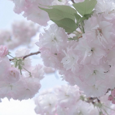 Furry绘画避坑实用指南Furry群